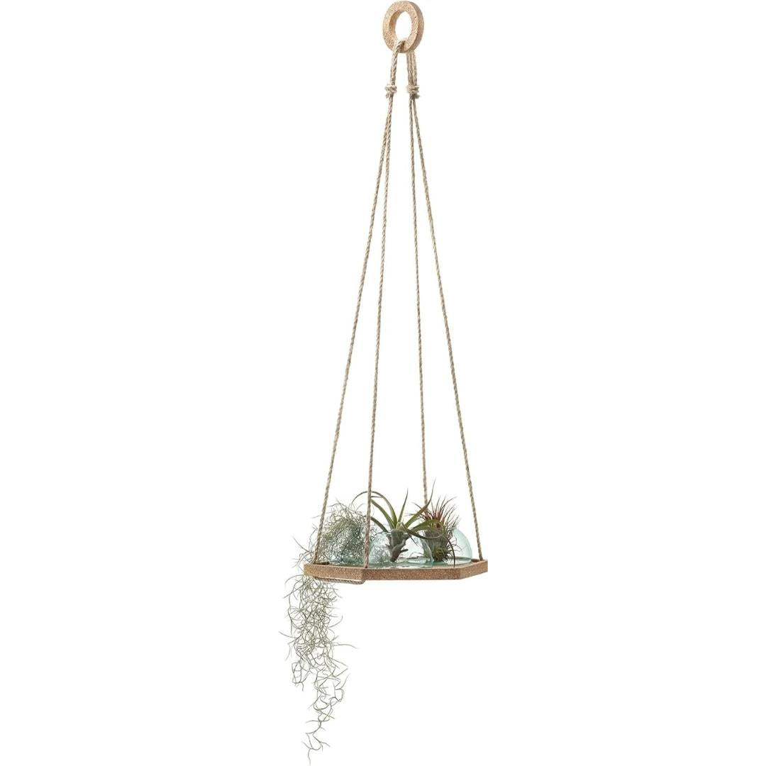 LSA Canopy Plant Hanger with Cork Base Set of 3 Pieces 29cm