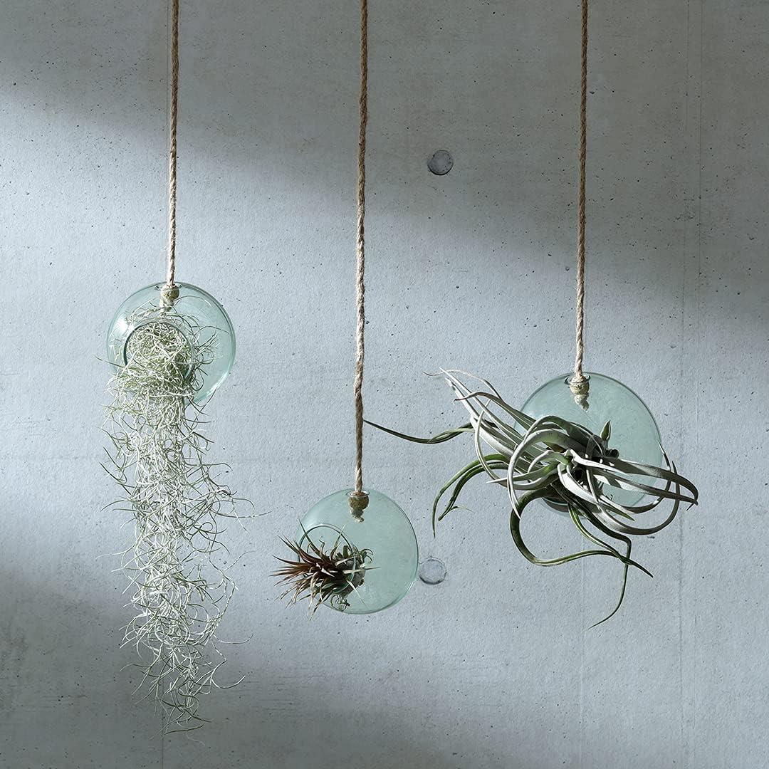 LSA Canopy Recycled 10cm Hanging Planter Clear