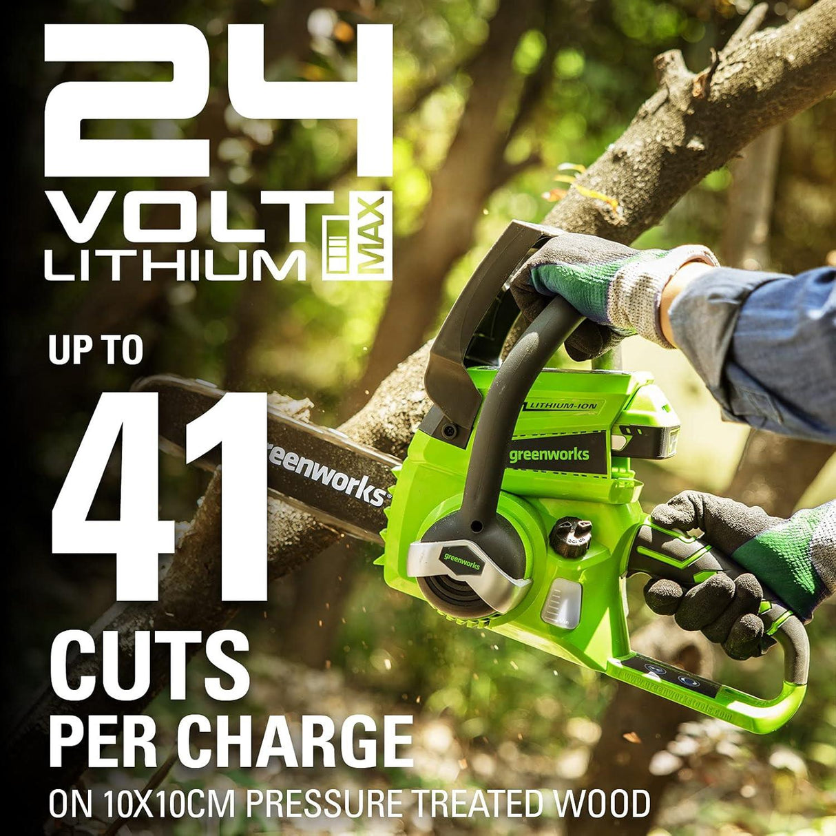 Greenworks 24V 25cm Chainsaw with 2Ah Battery and Charger Green