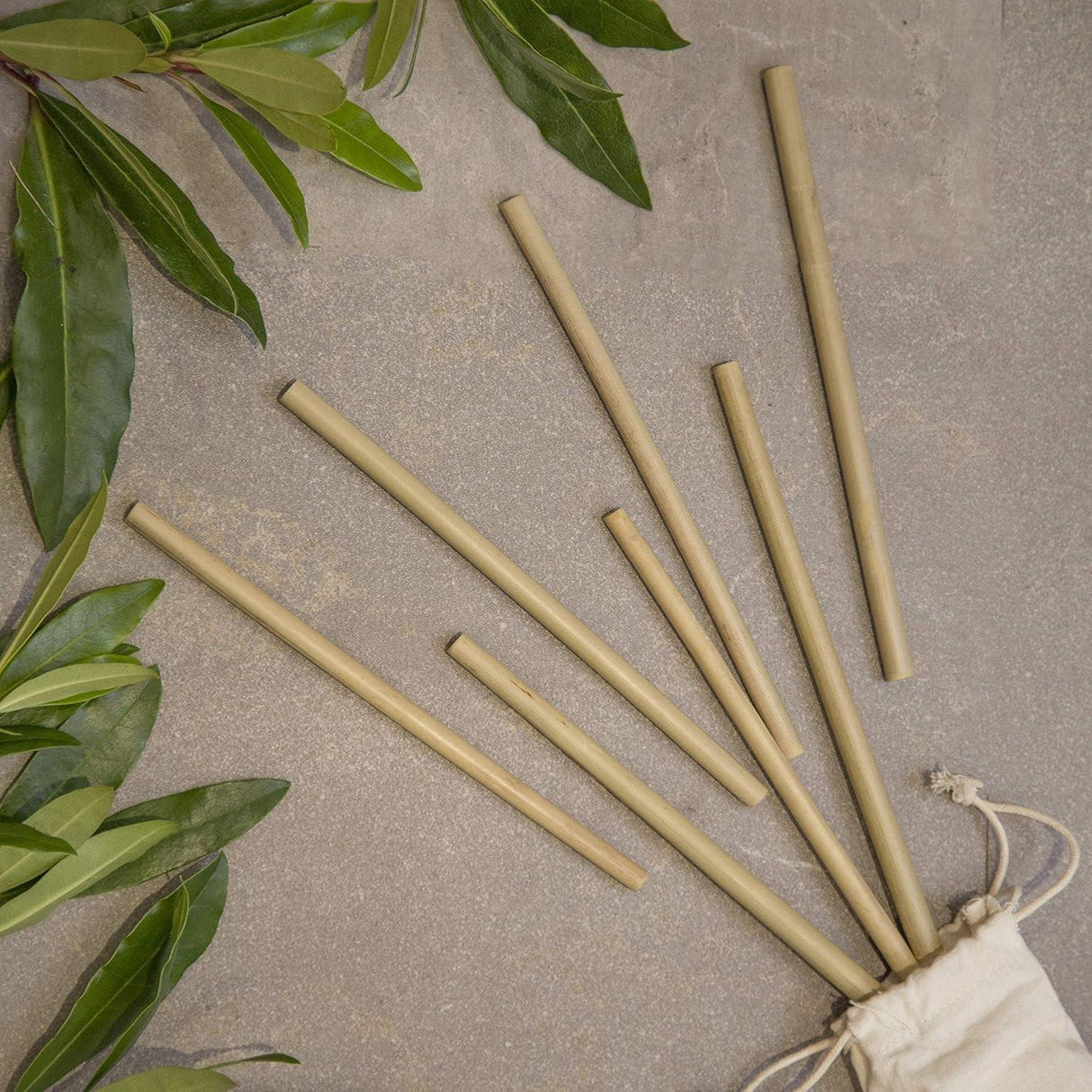 Bamboo Drinking Straws Pack of 12 with Cleaning Brush and Bag
