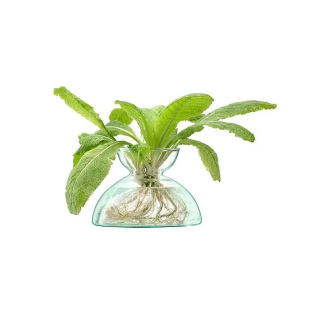 LSA Canopy 9.5cm Recycled Glass Vase