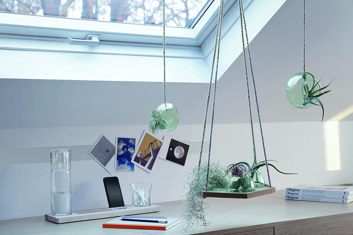 LSA Canopy Plant Hanger with Cork Base Set of 3 Pieces 29cm