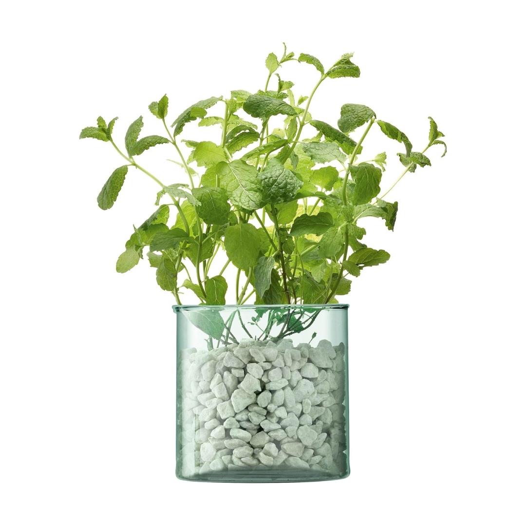 LSA Canopy Recycled Sustainable 13.5cm Glass Planter