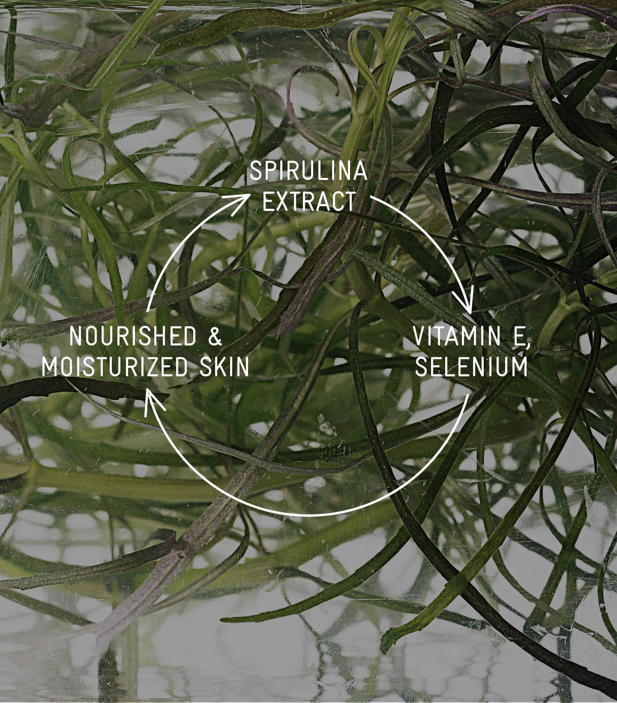 Devonine All in One Solution Vegan Cream with Spirulina 100ml Exp 2024