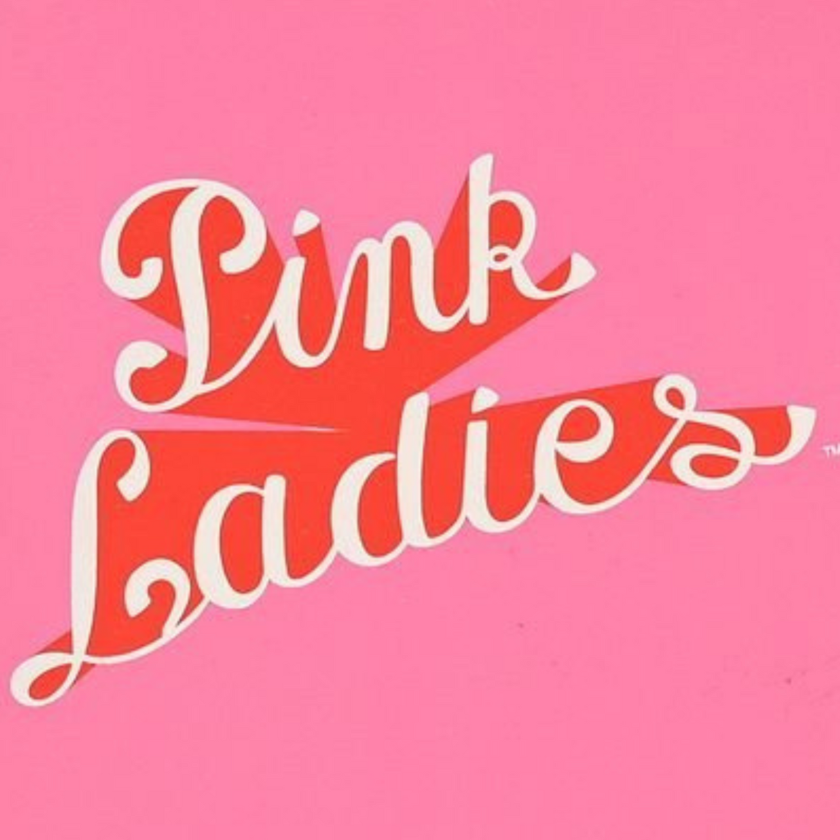 Fandomania Grease 'Pink Ladies' Photo Frame