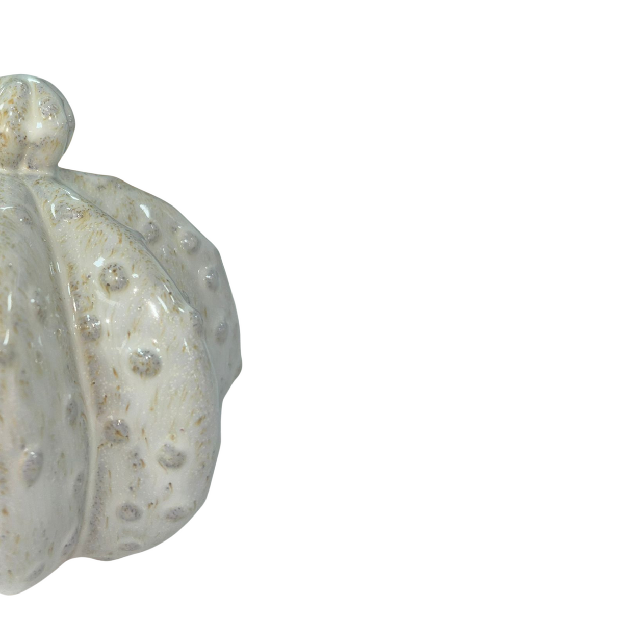 Stoneware Cactus Decor Handcrafted Ceramic Succulent Accent