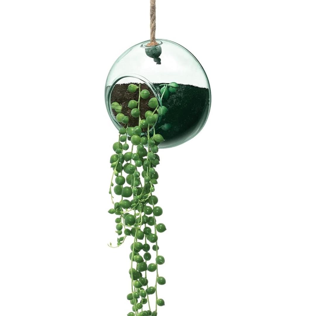 LSA Canopy Recycled 10cm Hanging Planter Clear