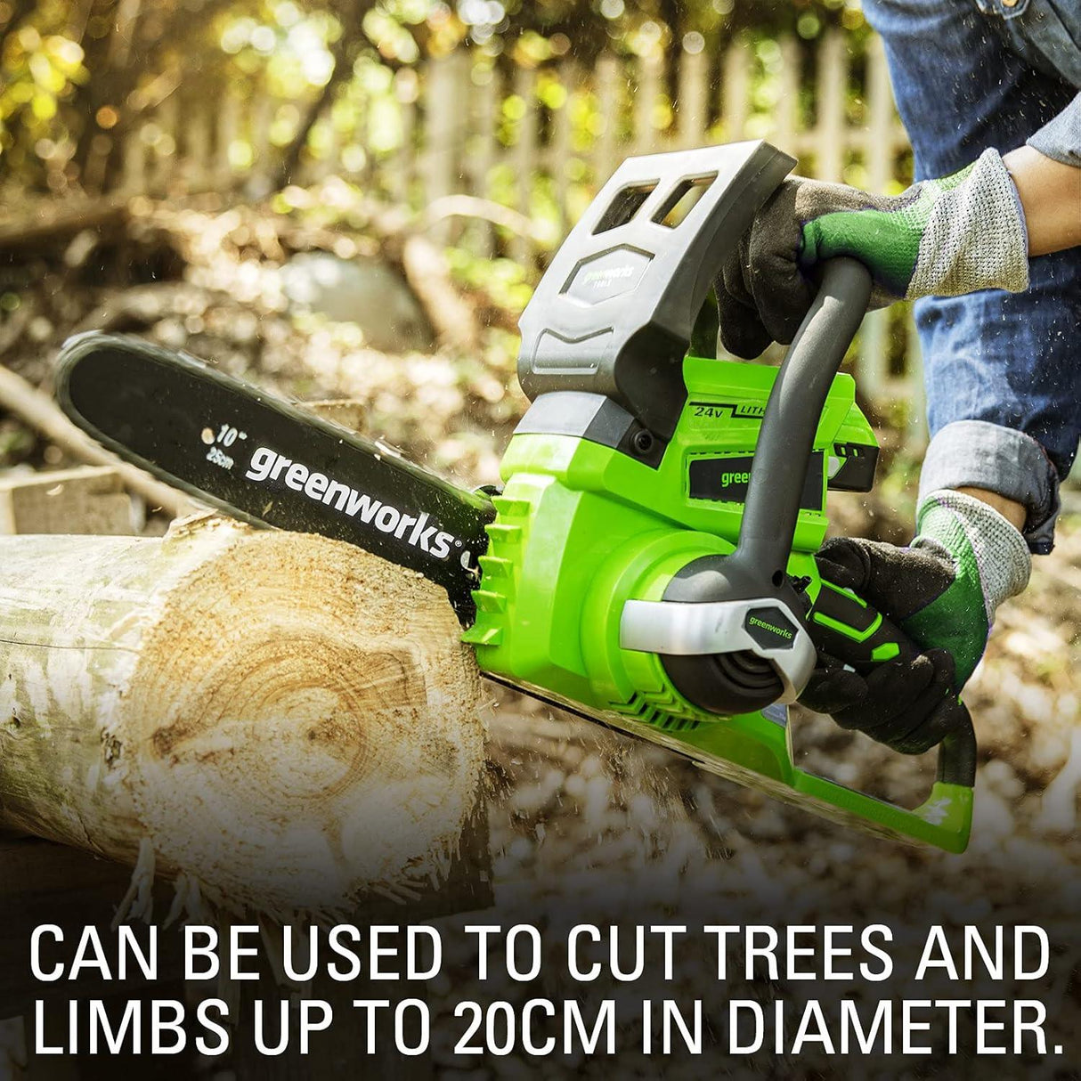 Greenworks 24V 25cm Chainsaw with 2Ah Battery and Charger Green