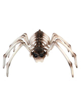 Spider Skeleton Halloween Fancy Dress Party Decorarion