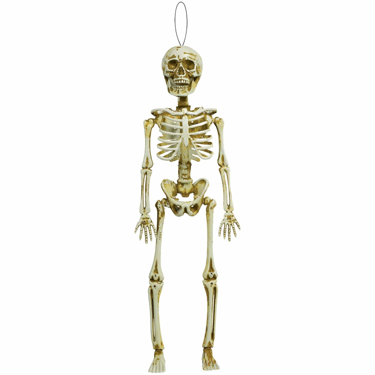 Hanging Plastic Skeleton 15 1/2" Halloween Party Wall Decoration