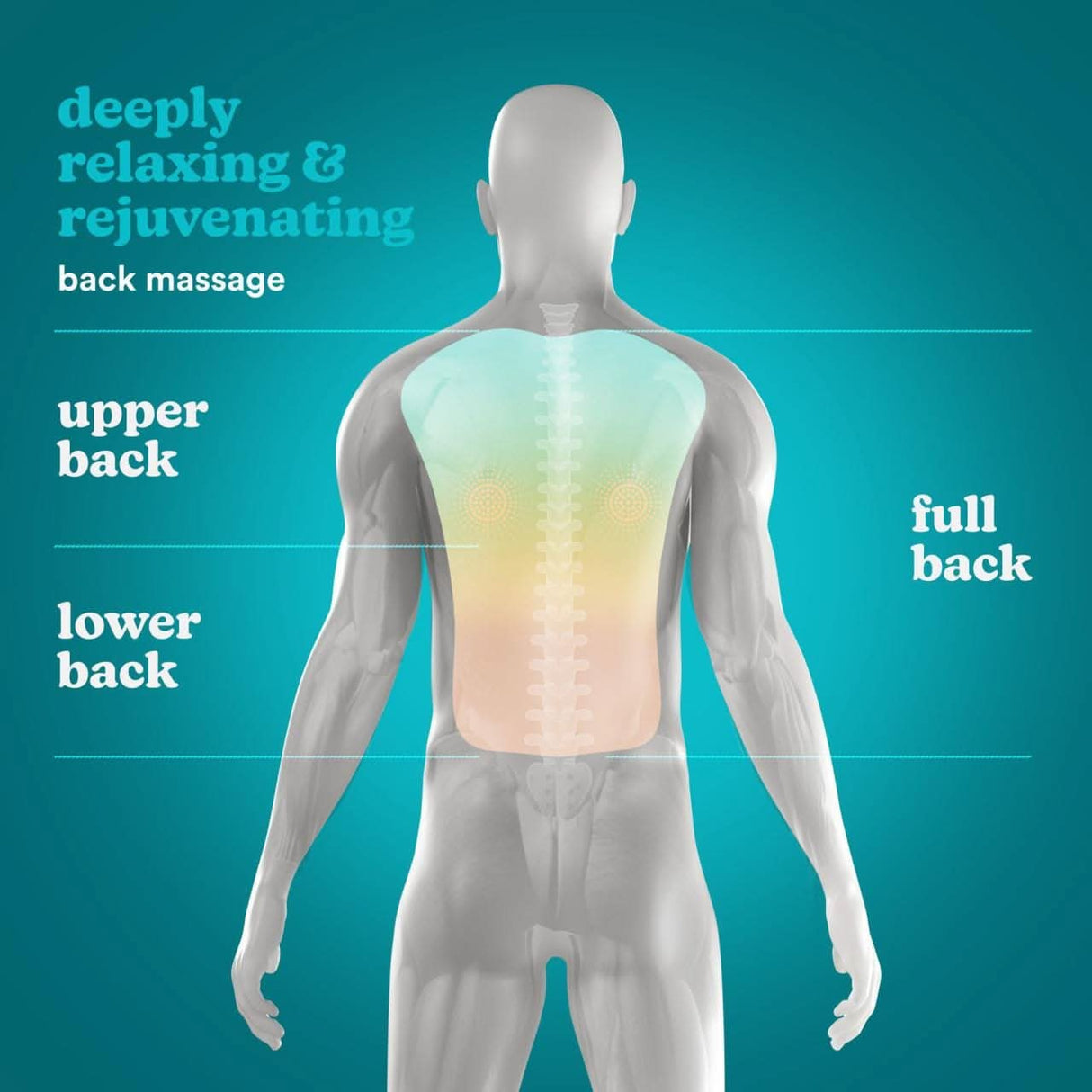 HoMedics Shiatsu Adjustable Massage Chair With Heat