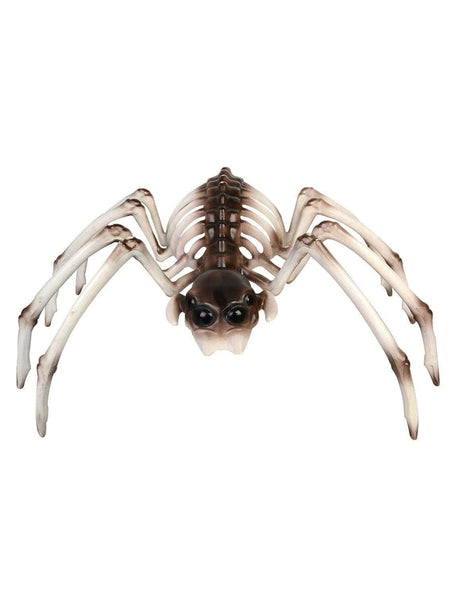 Spooky Spider Skeleton Decoration with detailed bones and large eyes for Halloween decor
