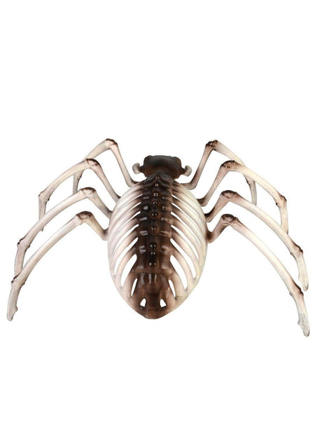 Spider Skeleton Decoration by Fancy Dress showing a realistic spider-shaped skeleton for Halloween