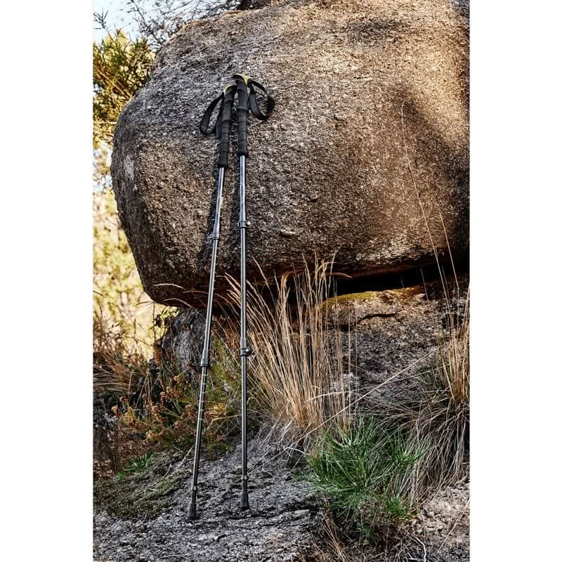 Rewind Telescopic Trekking Pole Set