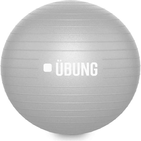 Calitek 65cm exercise ball with pump in silver gray with textured surface for stability