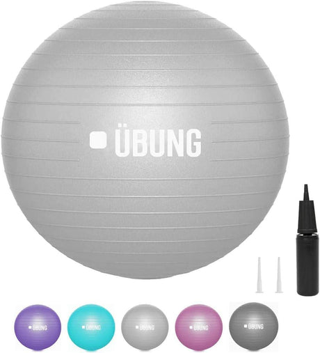 Calitek 65cm exercise ball with pump in silver and assorted colors for fitness workouts