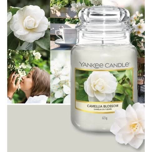 Yankee Candle Camellia Blossom - Large Jar