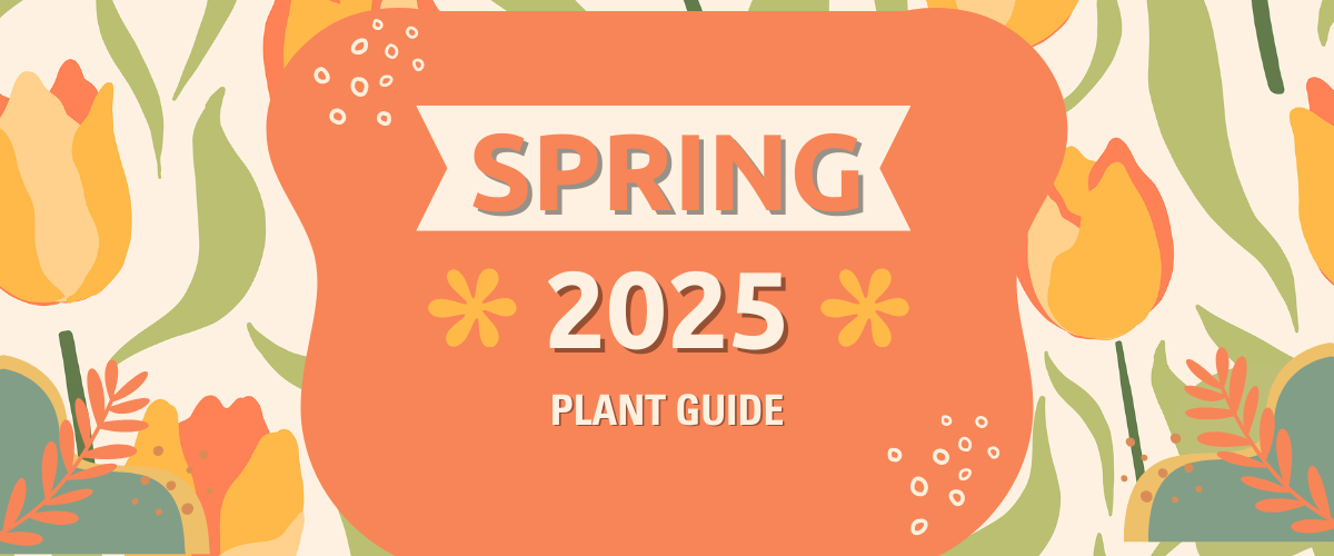 Blog title, Spring 2025 Plant Guide featuring vibrant flowers and greenery