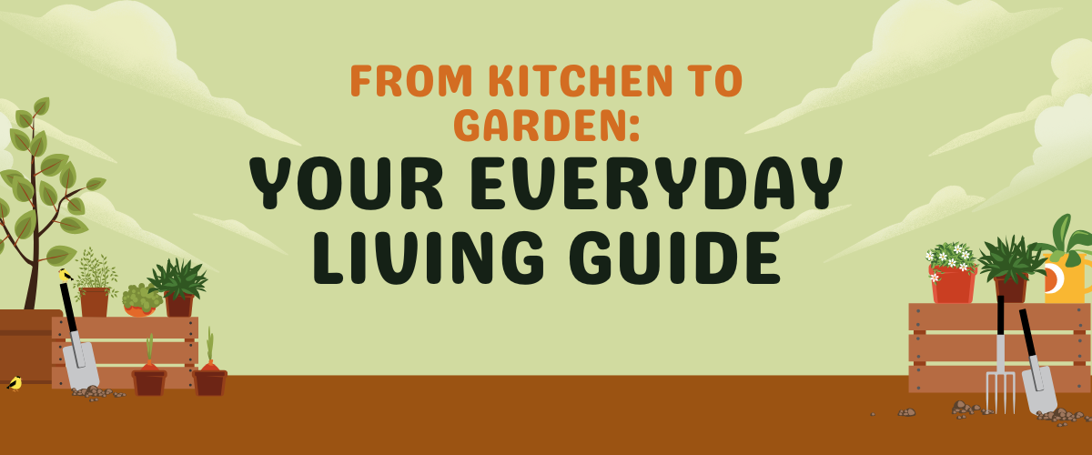 From Kitchen to Garden: Your Everyday Living Guide