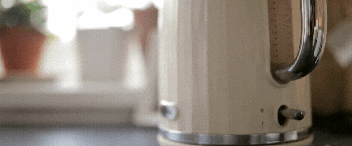 Temperature-Controlled Kettle vs. Normal Kettle: Which One is Right for You?