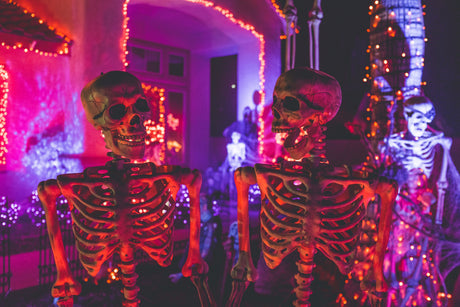 Spooky Halloween decorations for home with illuminated skeletons and vibrant orange and purple lights