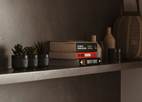 Minimalist home decor with stacked books, small potted plants, and decorative vases showcasing affordable homeware online
