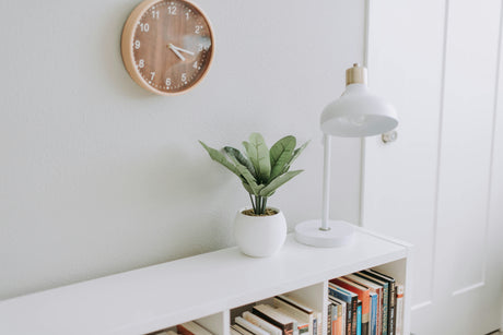 Minimalist home interior featuring a white shelf with books, a potted plant, lamp, and wall clock showcasing affordable homeware online