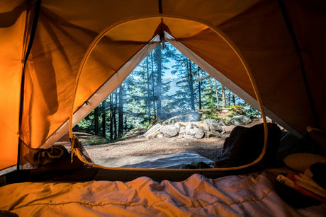 View from inside a Coleman camping gear dome tent showing outdoor forest and rocks