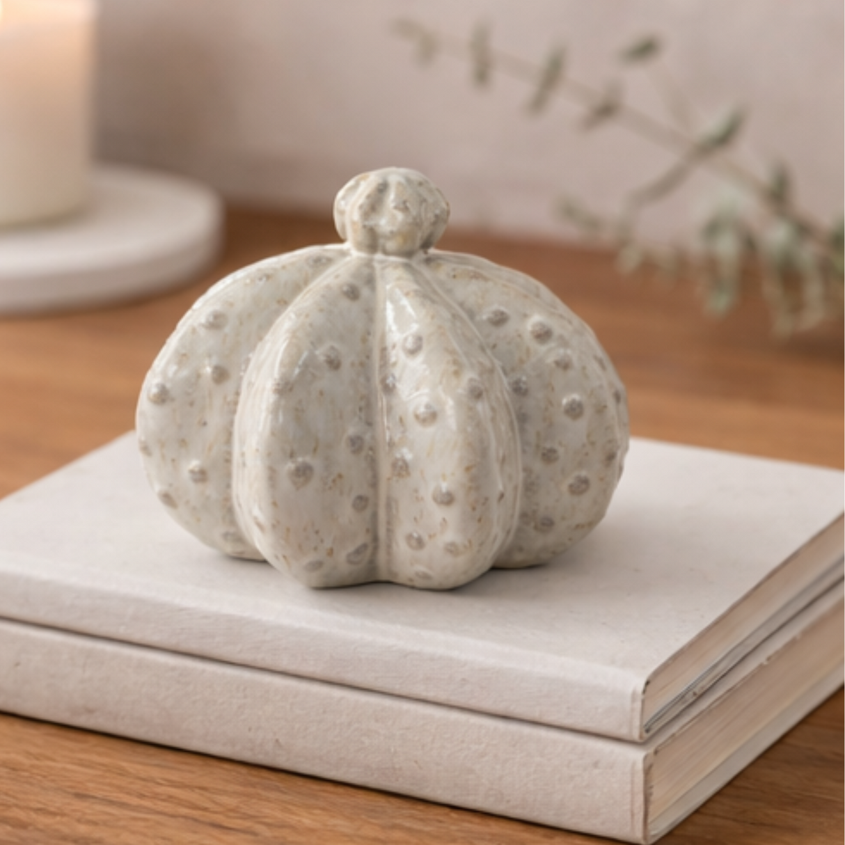 Stoneware Cactus Decor Handcrafted Ceramic Succulent Accent