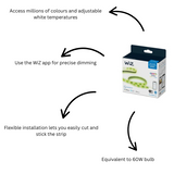 WiZ Smart Master LED Strip Starter Kit 2 Metres