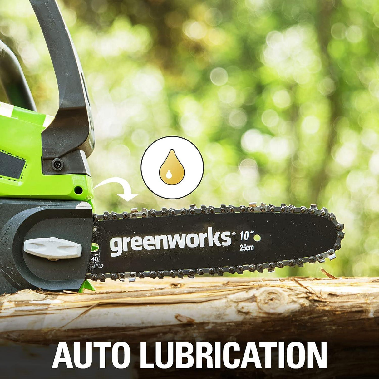 Greenworks 24V 25cm Chainsaw with 2Ah Battery and Charger Green