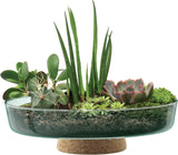 LSA Canopy Glass Planting Bowl Diameter 28cm with Cork Stem