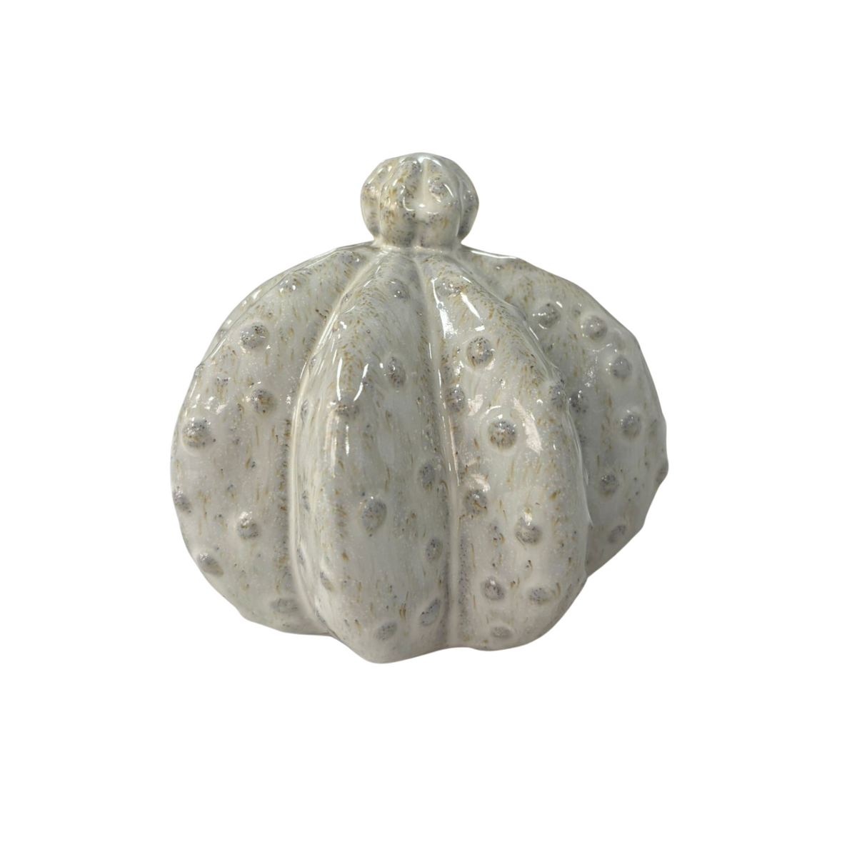 Stoneware Cactus Decor Handcrafted Ceramic Succulent Accent