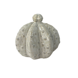 Stoneware Cactus Decor Handcrafted Ceramic Succulent Accent
