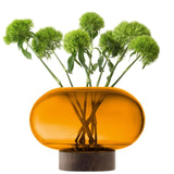 LSA Oblate Glass Vase Lantern 19.5cm with Walnut Base Amber