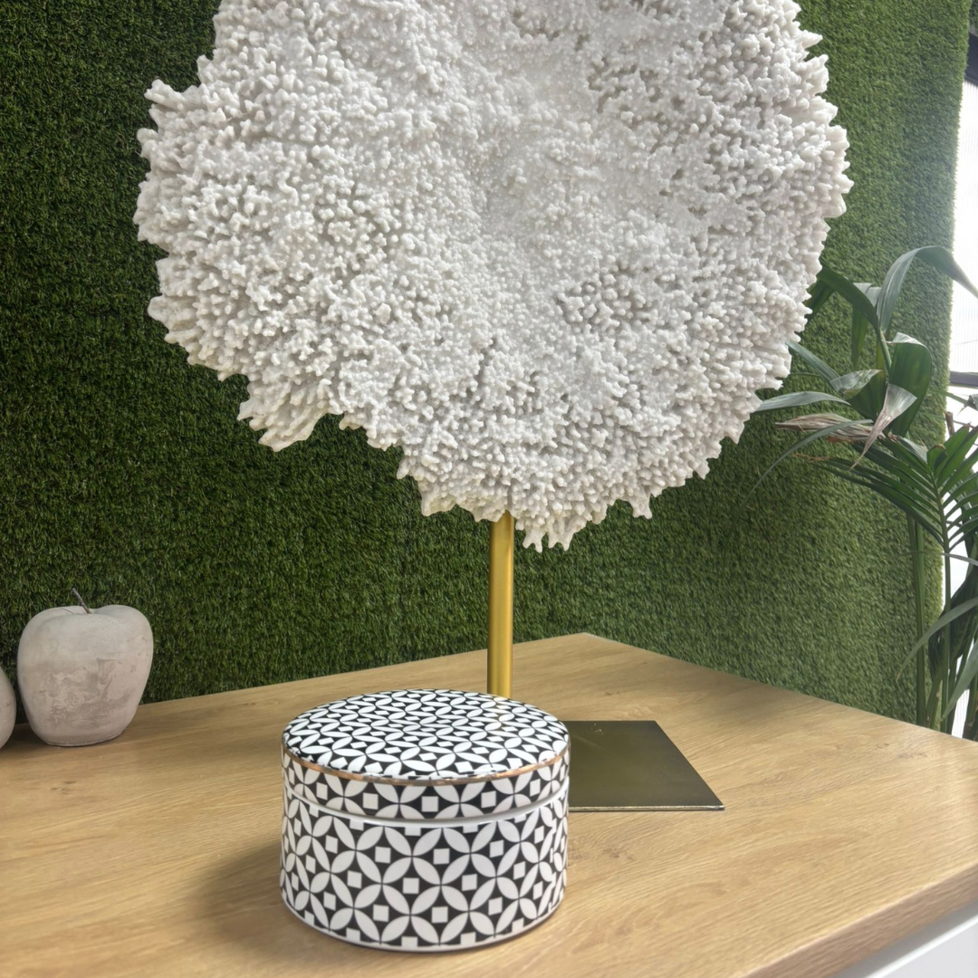 Black & White Geometric Lidded Jar 16.5cm Wide with Gold Rim