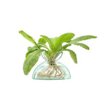 LSA Canopy 9.5cm Recycled Glass Vase