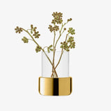 LSA International Aurum Lantern Vase Height 20cm Clear and Gold