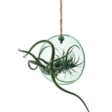 LSA Canopy Recycled 12cm Hanging Planter Clear