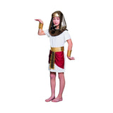 Child Pharaoh Tutankhamum Fancy Dress Egyptian Costume Age 4-6 Years