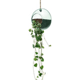 LSA Canopy Recycled 12cm Hanging Planter Clear