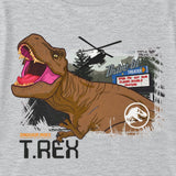 Jurassic World Boys T-Rex 100% Cotton Pyjama Set 11-12 Years Grey