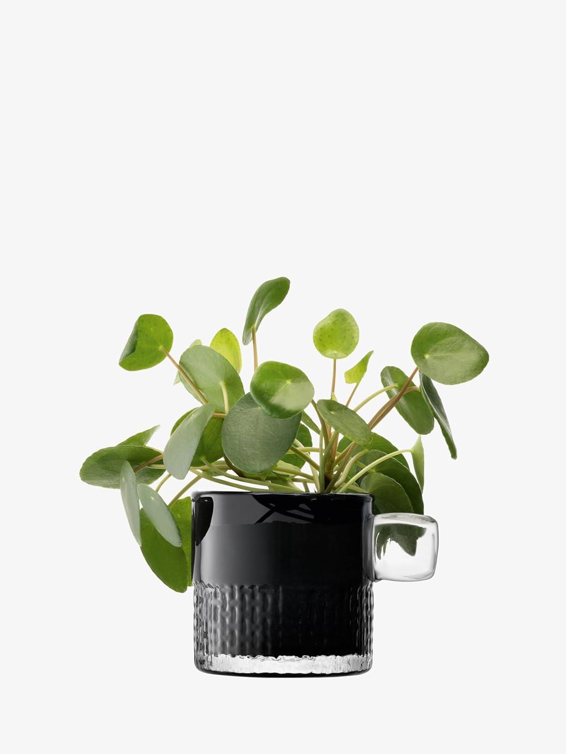 LSA Glass Tealight Holder with Handle 9cm Slate