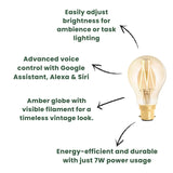 WiZ B22 LED Bayonet Filament Tunable Dimmable Lightbulb