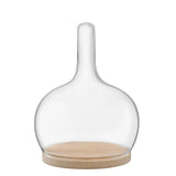 LSA Cloche Dome with Oak Base 19 x 25.5xm Clear