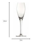 Champagne Flutes with Elegant Bubble Detail Design Set of 6 Clear