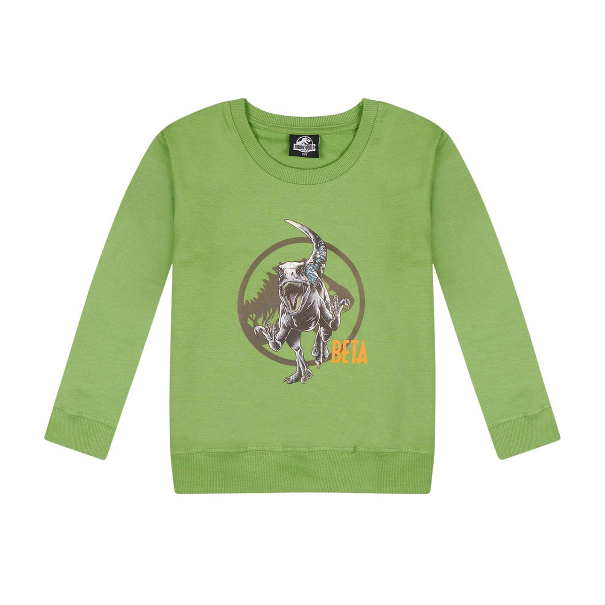 Kids' Jurassic World 100% Cotton Sweatshirt Size 9-10 Years Green