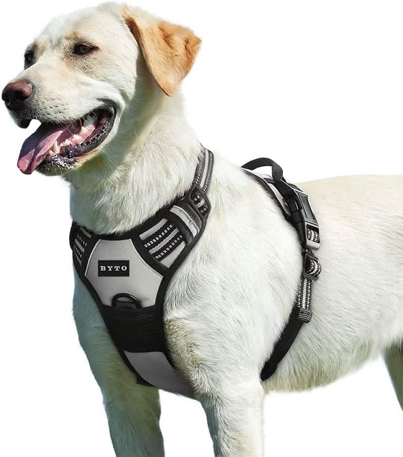 Large white dog wearing a no pull dog harness large with adjustable straps and reflective details