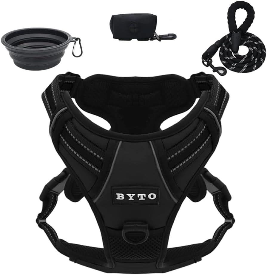 CLICKK Home Store no pull dog harness medium in black with leash, collapsible bowl, and waste bag dispenser