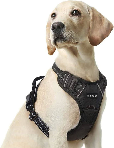 No pull dog harness medium black adjustable harness on a beige Labrador Retriever